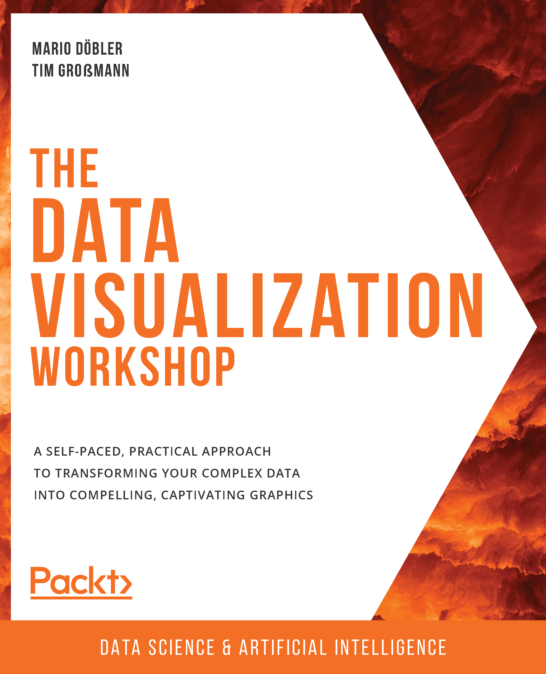  The Data Visualization Workshop