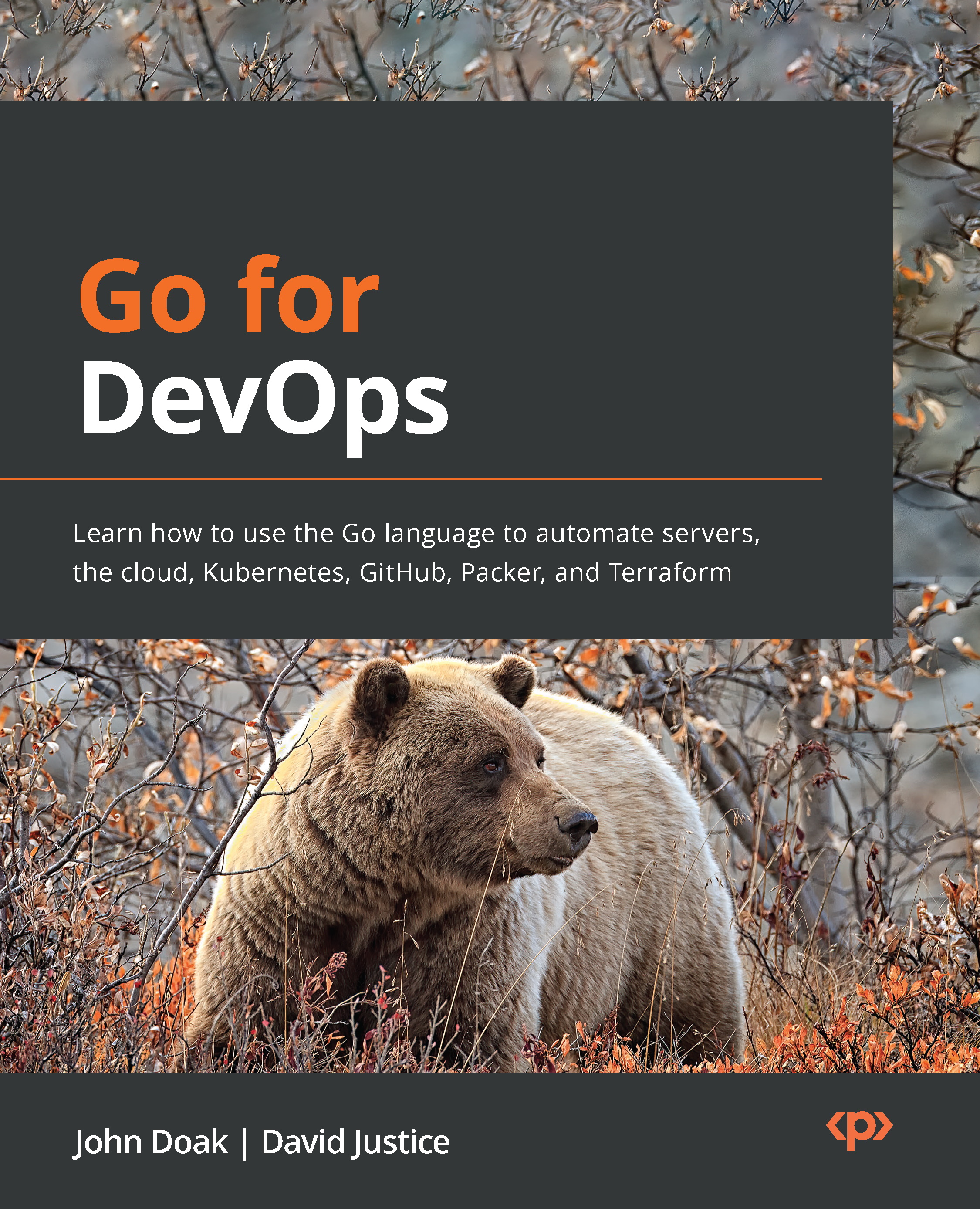 Go for DevOps 