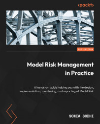 Model Risk Management in Practice