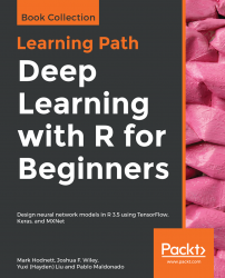 Deep Learning with R for Beginners