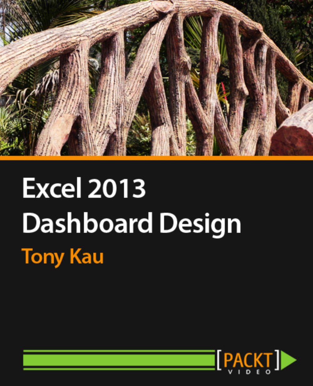 Excel 2013 Dashboard Design