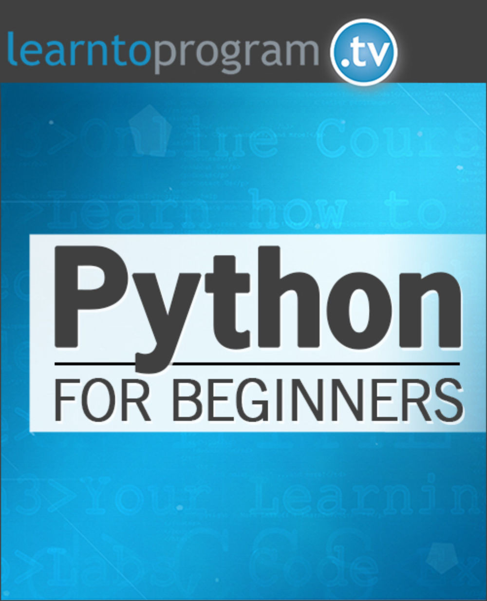 Python for Beginners