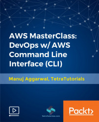AWS MasterClass: DevOps w/ AWS Command Line Interface (CLI) [Video]