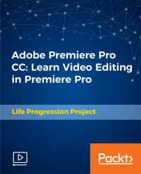 Adobe Premiere Pro CC: Learn Video Editing in Premiere Pro [Video]