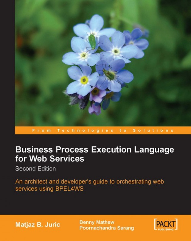 Business Process Execution Language for Web Services 2nd Edition