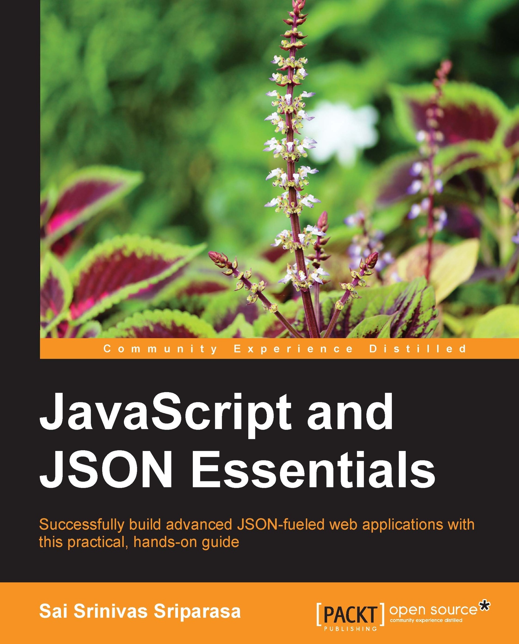 JavaScript And JSON Essentials | Ebook | Web Development