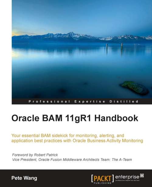 Oracle BAM 11gR1 Handbook ebook Programming