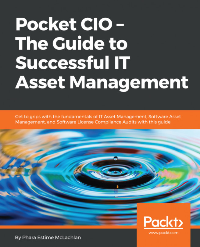 Pocket CIO – The Guide to Successful IT Asset Management