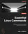 Essential Linux Commands